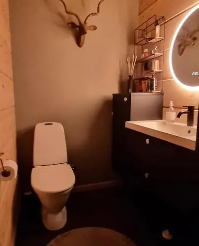 Διαμέρισμα Luxury Rauhankatu Ροβανιέμι